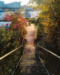 A staircase bathed in golden sunlight with lots of foliage. Water can be seen in the background.
