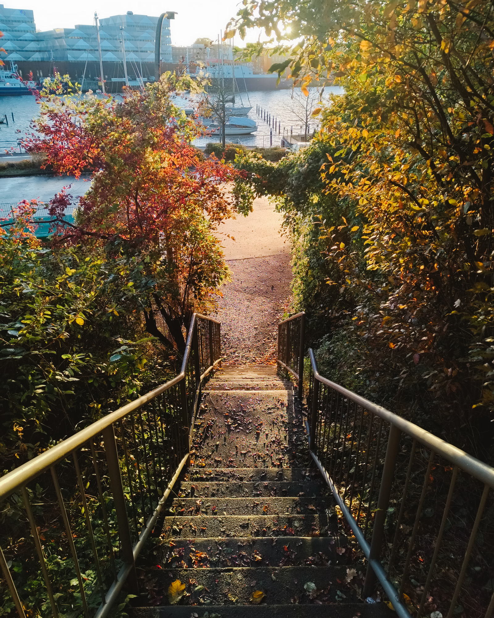 A staircase bathed in golden sunlight with lots of foliage. Water can be seen in the background.